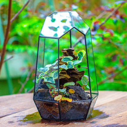 Stylish No-Door Geometric Glass Terrarium Planter for Succulents & Cacti - Irregular Black Open Design, Perfect Indoor Tabletop Decor (6.5" x 5.7" x 9.8") - No Plants Included