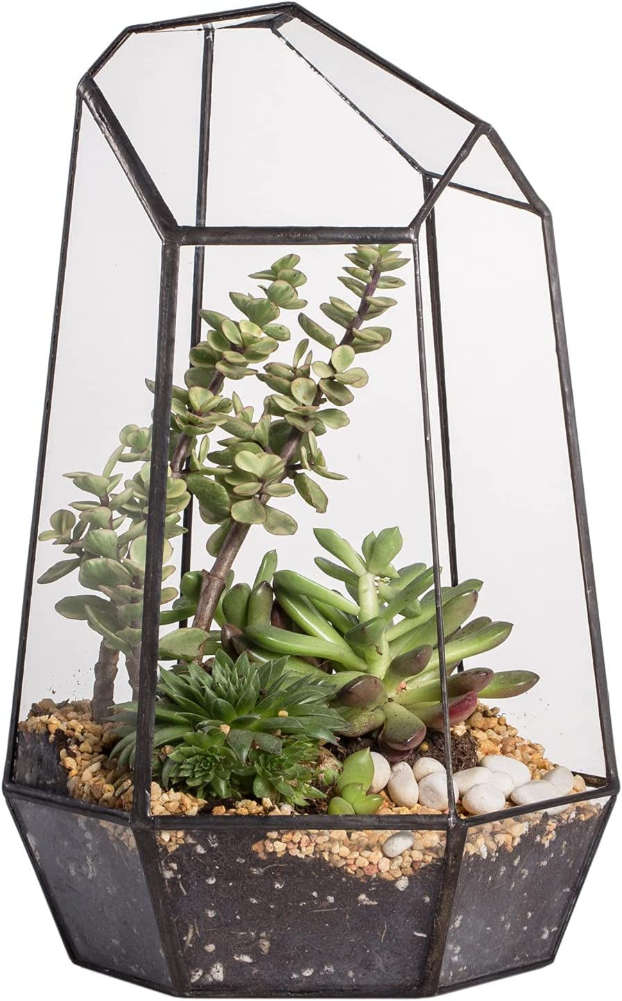 Stylish No-Door Geometric Glass Terrarium Planter for Succulents & Cacti - Irregular Black Open Design, Perfect Indoor Tabletop Decor (6.5" x 5.7" x 9.8") - No Plants Included