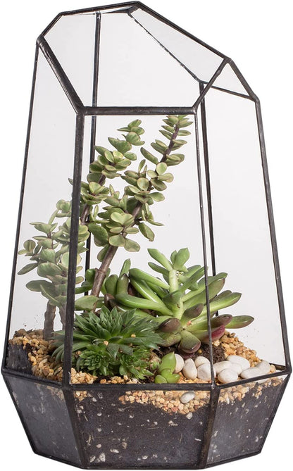Stylish No-Door Geometric Glass Terrarium Planter for Succulents & Cacti - Irregular Black Open Design, Perfect Indoor Tabletop Decor (6.5" x 5.7" x 9.8") - No Plants Included