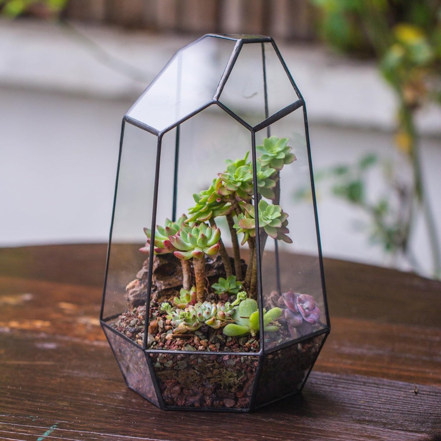 Stylish No-Door Geometric Glass Terrarium Planter for Succulents & Cacti - Irregular Black Open Design, Perfect Indoor Tabletop Decor (6.5" x 5.7" x 9.8") - No Plants Included