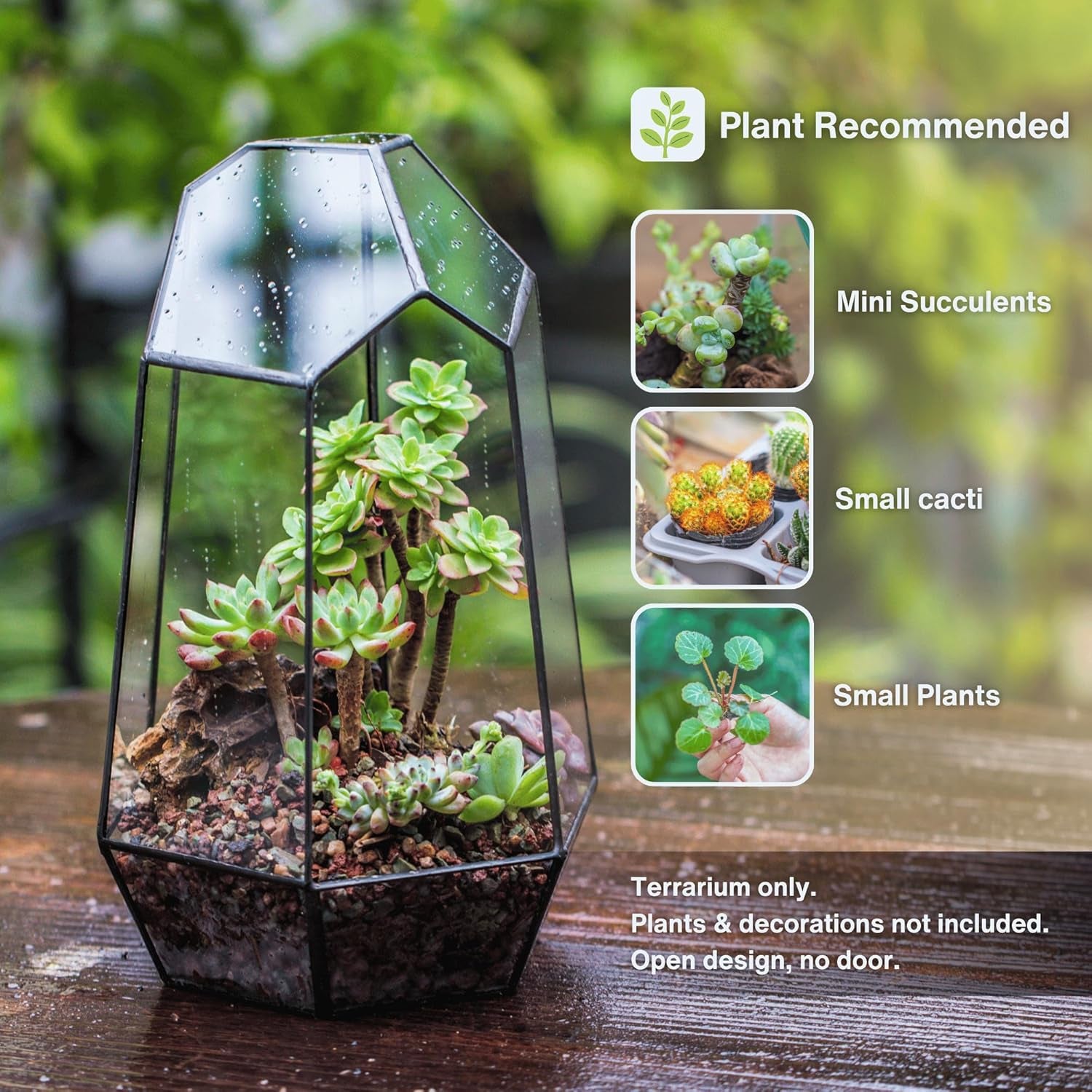 Stylish No-Door Geometric Glass Terrarium Planter for Succulents & Cacti - Irregular Black Open Design, Perfect Indoor Tabletop Decor (6.5" x 5.7" x 9.8") - No Plants Included
