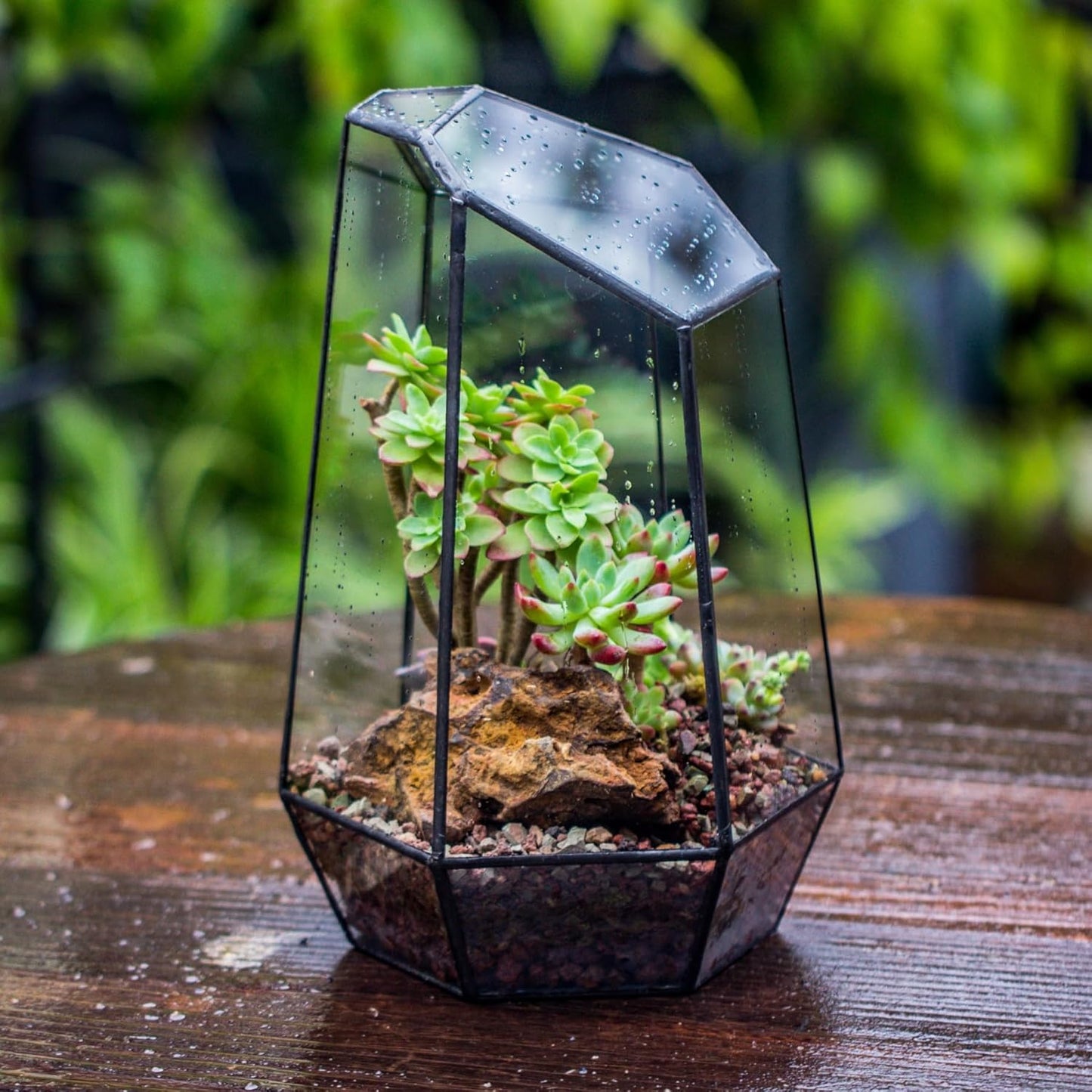 Stylish No-Door Geometric Glass Terrarium Planter for Succulents & Cacti - Irregular Black Open Design, Perfect Indoor Tabletop Decor (6.5" x 5.7" x 9.8") - No Plants Included