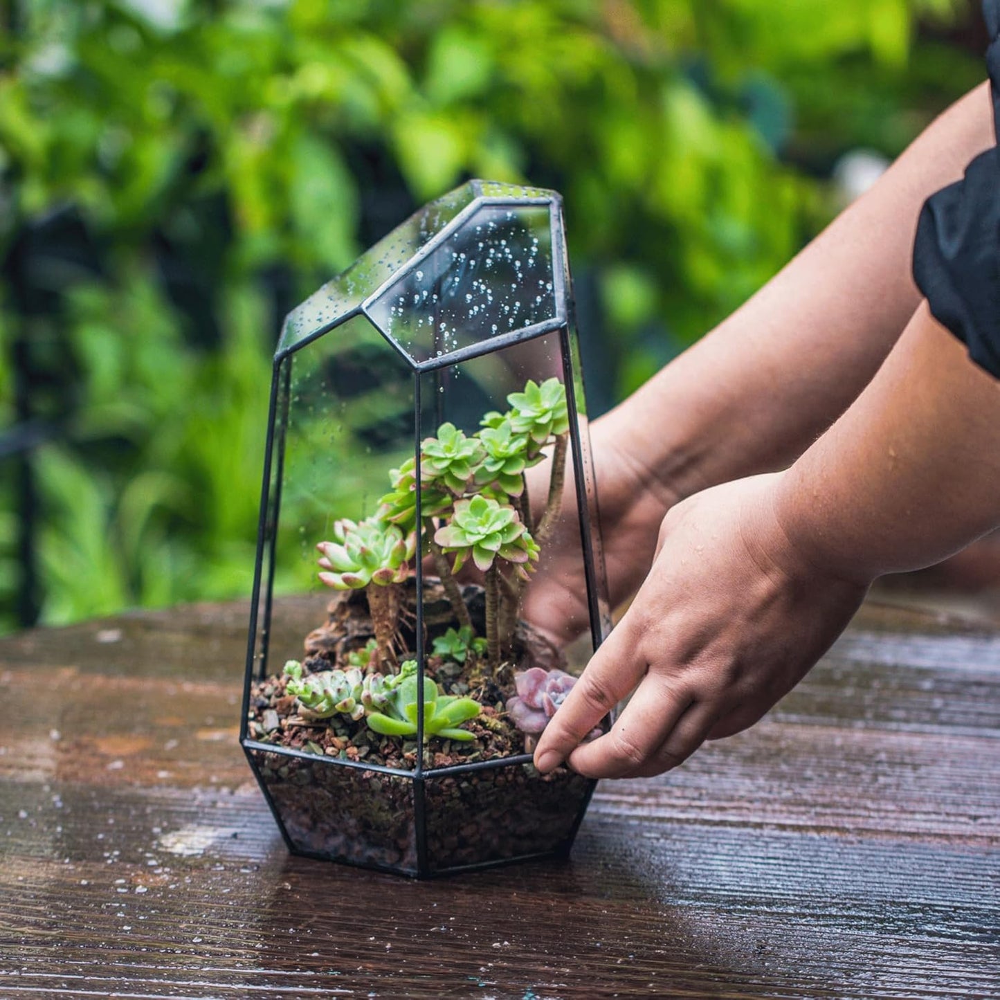 Stylish No-Door Geometric Glass Terrarium Planter for Succulents & Cacti - Irregular Black Open Design, Perfect Indoor Tabletop Decor (6.5" x 5.7" x 9.8") - No Plants Included